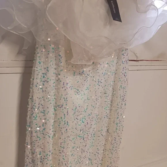 NWT women's ruffle, sequins dress